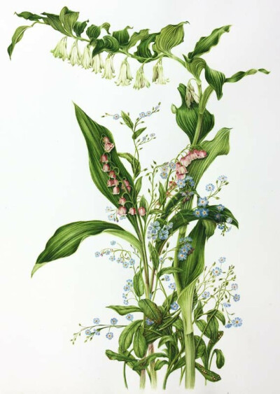  lily-of-the-valley is one of the easiest groundcovers to grow. It's perfect in the shady spot off the patio or under the big tree in the backyard. Do watch it, though: It can be a vigorous spreader.