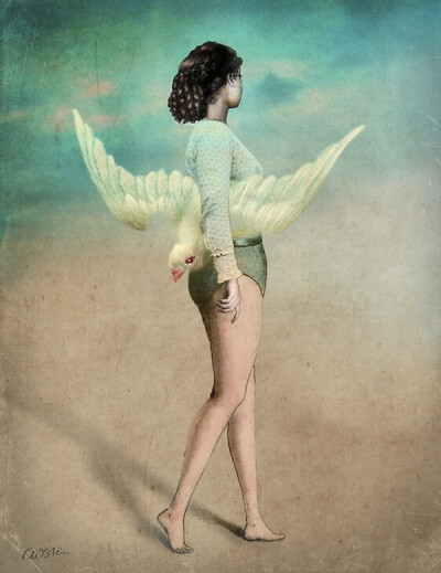  Catrin Welz-Stein作品