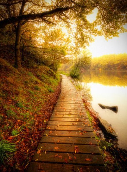 人生只是条单行线，所有的错过，都没有重来的机会，别再畏首畏尾，别让命运处处皆是遗憾 。