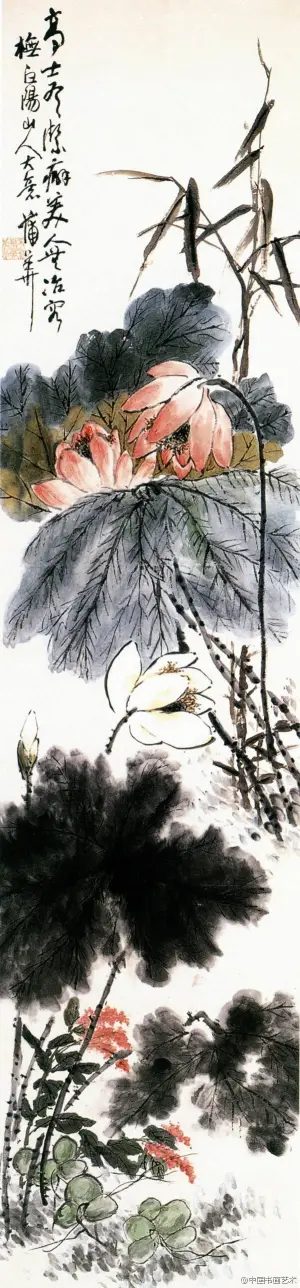 荷花- 堆糖