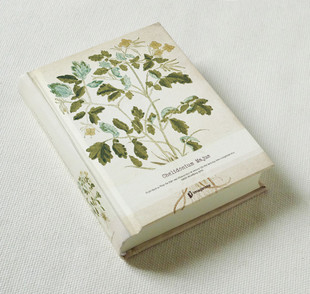 九口山 笔记本 草本植物系列