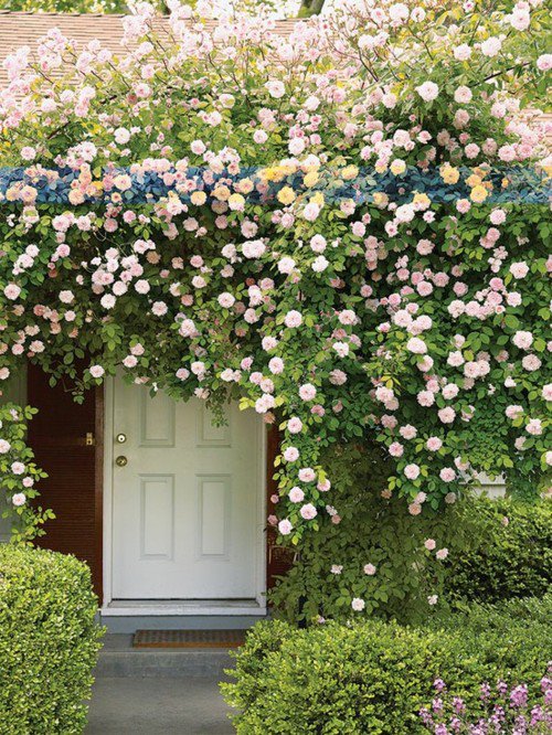 天然的小屋装点