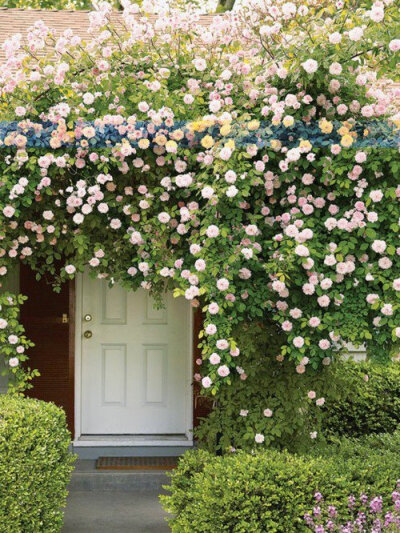 天然的小屋装点