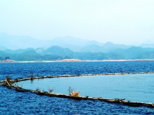 千岛湖 浙江 中国。美景在人间。