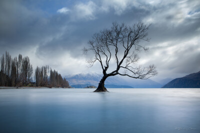 Photograph Autumn Lament by Brad Grove on 500px