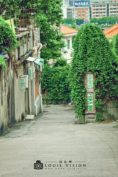 盛夏光年。我们在鼓浪屿。