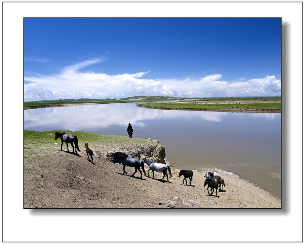 【图】红原草原、若尔盖草原之春-风光摄影-蜂鸟摄影论坛