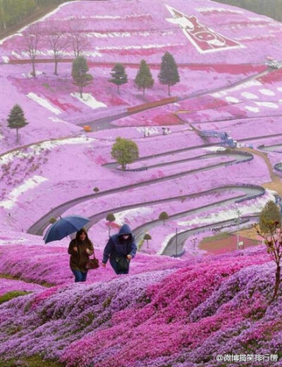 日本北海道的山坡~太美了~