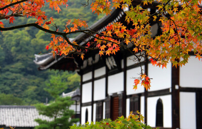 京都红叶 堆糖 美图壁纸兴趣社区