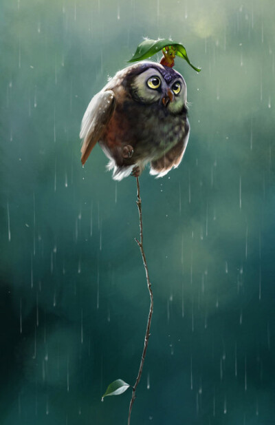 雨天，陪伴