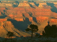 Grand Canyon, USA 我去过的地方中最喜欢的一！