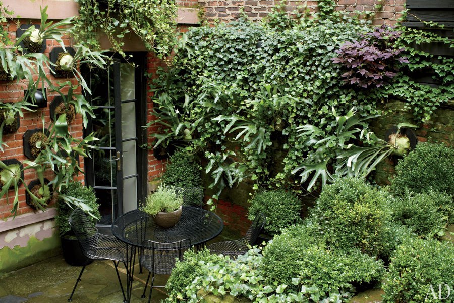 Julianne Moore’s garden