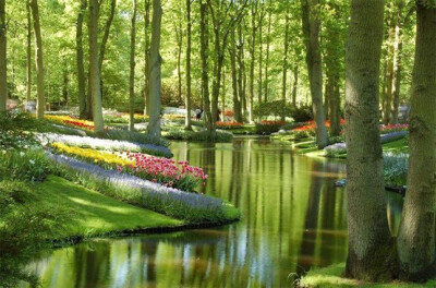 Keukenhof Gardens, Netherlands