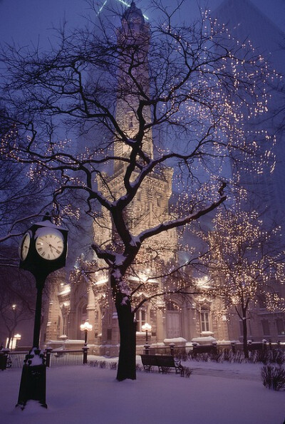 Water Tower Park, Chicago.