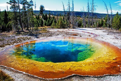 Morning glory pool in Yellowstone National Park