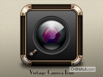 Vintage Camera Icon