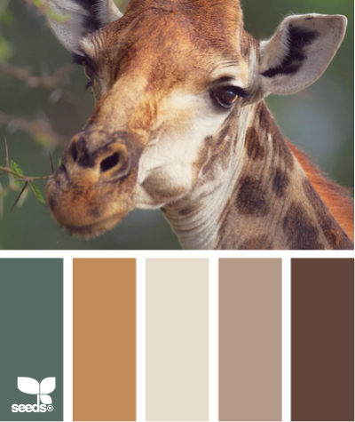 giraffe tones