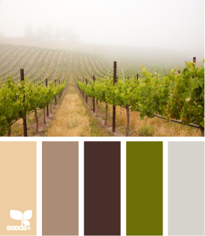 vineyard tones