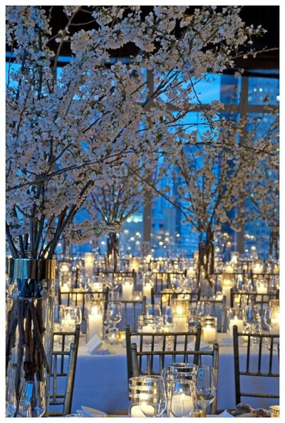 White Cherry Blossoms and Candlelight