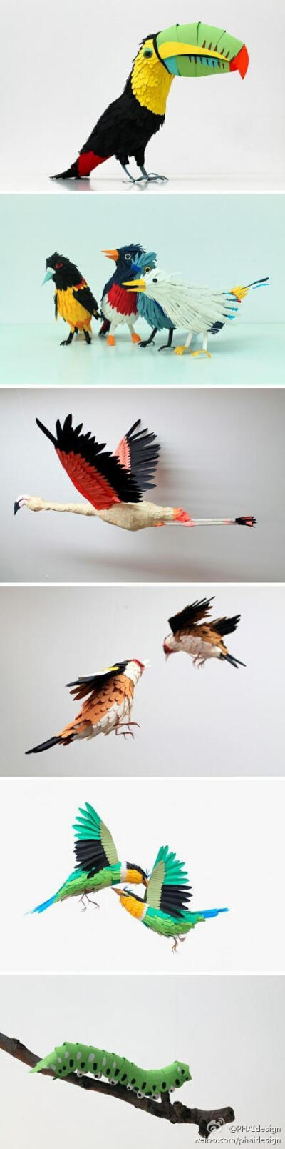 艺术家Diana Beltran Herrera制作的这套色彩斑斓的手工纸片动物系列，不仅形态生动，更有着令人乍舌的细节，鸟的羽毛和昆虫的节，都分毫毕现，实在叫人喜欢！