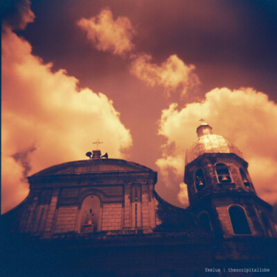 theoccipitallobe: Give Thanks Holga 120N Loaded with Lomography Redscale XR