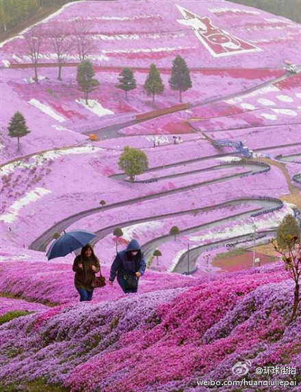 日本北海道的山坡~太美了~