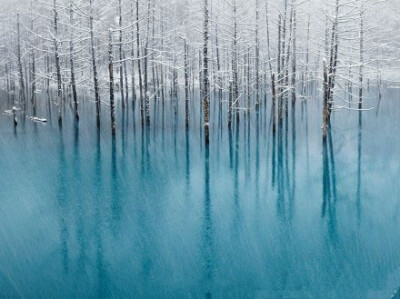 雪后北海道