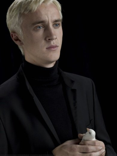 Tom Felton,Draco Malfoy