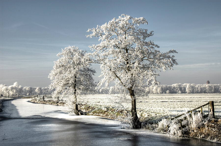 Photograph Frosty Day by Daniel Bosma on 500px