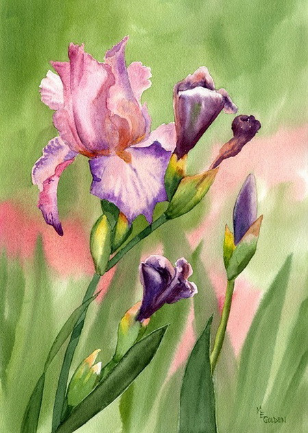 Mary Ellen Golden 水彩