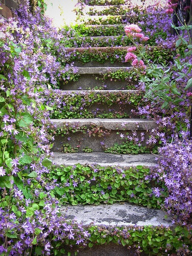 Lavender Stairs