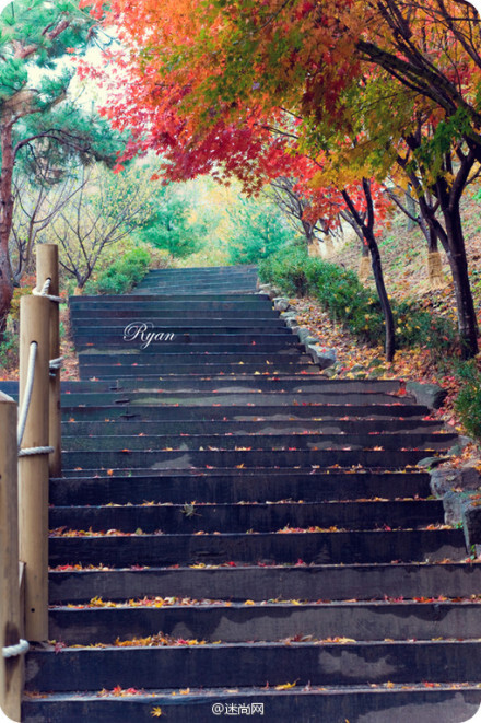 一路上都会遇见很多美好风景，也许你会驻足不再前行，也许你会掉头匆匆离去，请记住，路途中的路程还有很长很长，你还未达到目的地