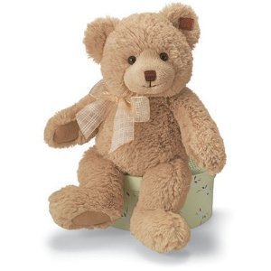 Gund Elston Bear 泰迪熊正品。呆呆可爱的大熊，软绵绵的触感，好想抱一下。