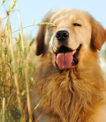 用笑容开启新的一天