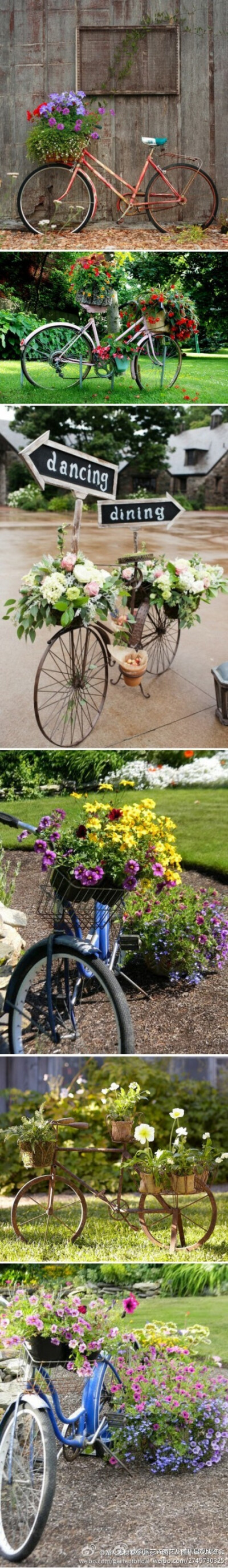 花与自行车