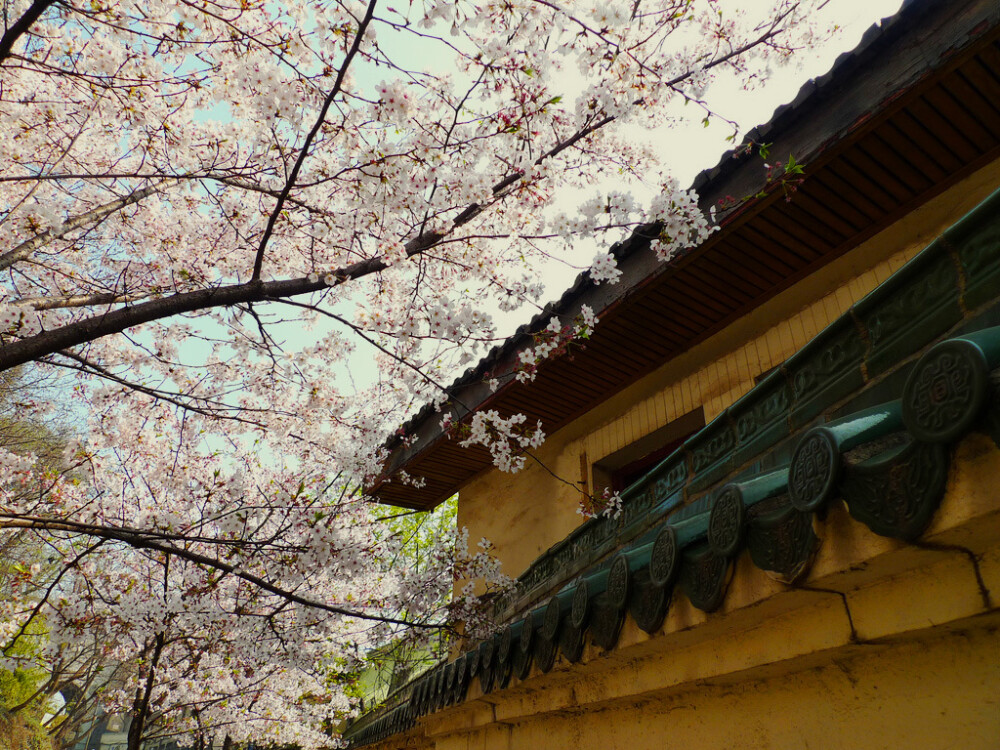 鸡鸣寺位于鸡笼山东，背临玄武湖，东对紫金山。原为梁朝同泰寺，是梁武帝萧衍舍身入寺之地。后为雷火所毁。现在的鸡鸣寺为明洪武二十年(1387 年)所建，清同治时重修。寺门之南有施食台，寺内有观音楼、豁蒙楼、景阳楼和胭脂井等。相传胭脂井为陈后主与张丽华、孔贵嫔避隋兵之所，井栏石脉有胭脂痕，故名。