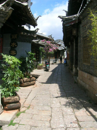 丽江，巷内院里的风景 巷子里的各种客栈，酒吧，以及它们院子里的风景，足够让游客流连忘返