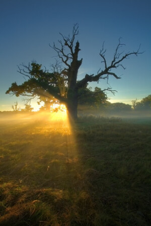 如果你前面有阴影，那是因为背后有阳光~