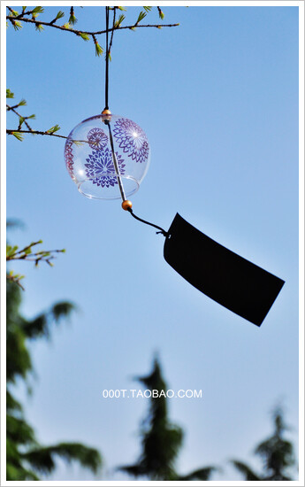 江户玻璃风铃 花语の黑菊