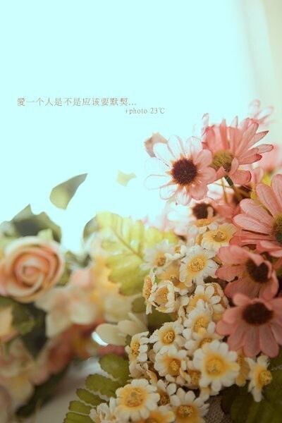 有一場花開。@晓冬知春-视觉生活志