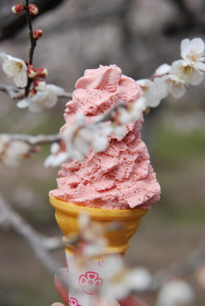 これは桜の花の匂いのアイスクリームですか.没有冰淇淋的夏天不完整，降温必备