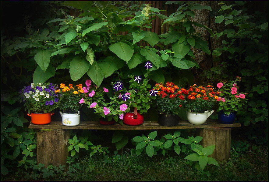 By Ollika-Group portrait in the open air...