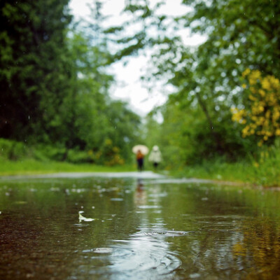 By БРАТСТВО-Rainy day walk...