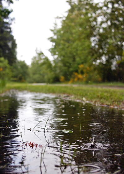 By БРАТСТВО-Wapato Park rain...