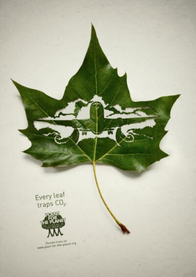 every leaf traps CO2