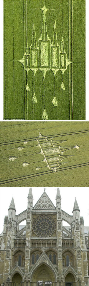 【英国再现巨大麦田怪圈：极似教堂】据报道，英国威尔特的农田日前突然出现巨大的麦田怪圈。从照片中可清晰看出，麦田怪圈画有5个尖头的高塔屋顶和长方体，整体造型和去年英国王室举办婚礼的西敏寺外观相差无几；而麦田怪圈专家露西表示，这是麦田怪圈首次出现与教堂有关的图样。