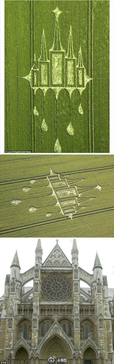 【英国再现巨大麦田怪圈：极似教堂】据报道，英国威尔特的农田日前突然出现巨大的麦田怪圈。从照片中可清晰看出，麦田怪圈画有5个尖头的高塔屋顶和长方体，整体造型和去年英国王室举办婚礼的西敏寺外观相差无几；而…