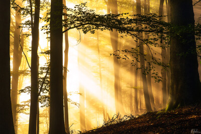 Photograph Magic Autumn by Robin Halioua on 500px