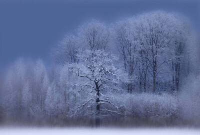 Photograph As in The Winter&#39;s Tale by Allan Wallberg on 500px