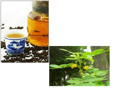 #花茶##决明子茶#决明子可以和其他花草茶搭配，具有不错的排毒排油腻功效。能达到清热平肝、降脂降压、润肠通便、明目益睛。现代“电视族”、“电脑族”等易引起眼睛疲劳的人群不妨常喝，但夜晚最好少饮。老年人饮用…